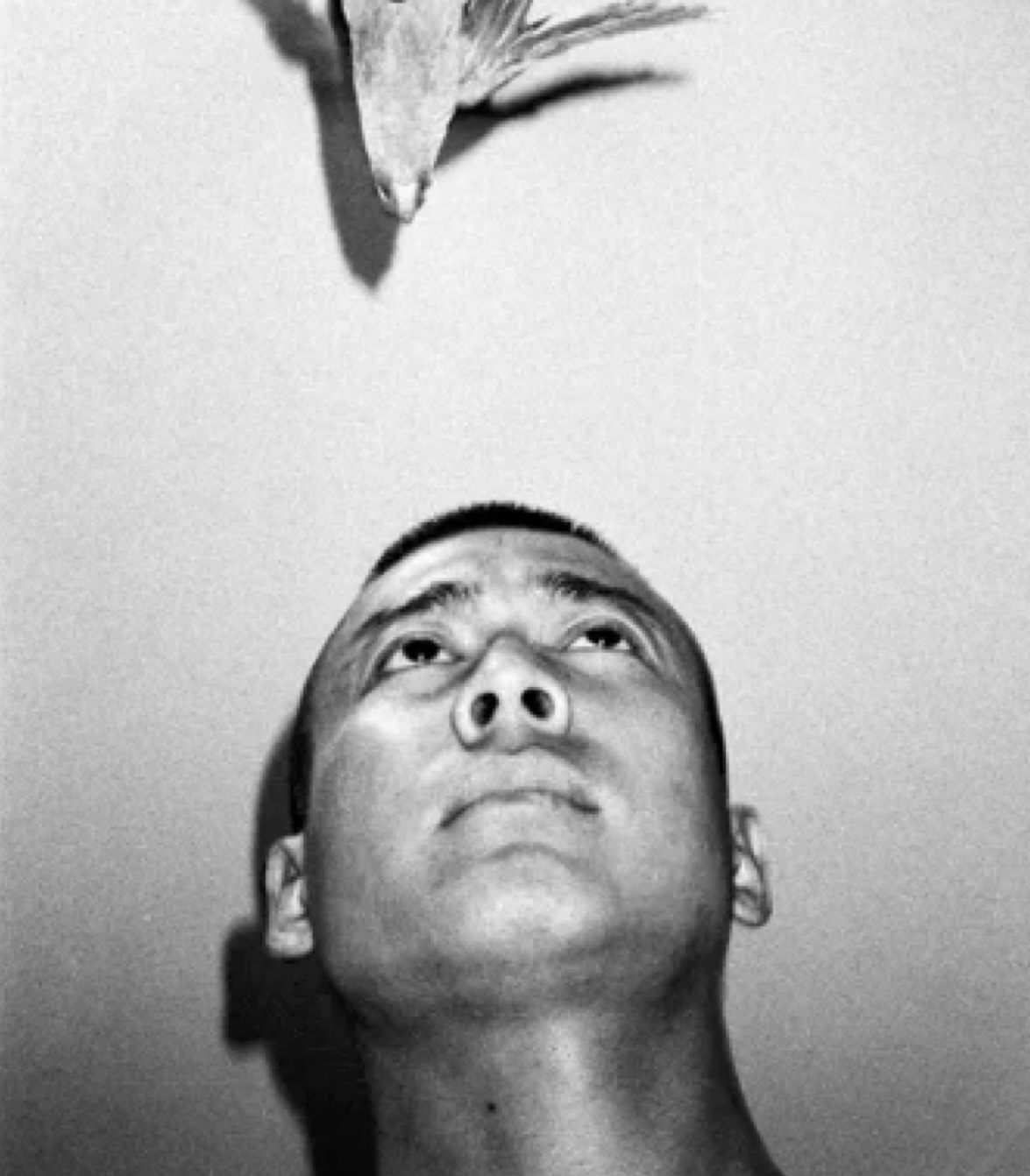 Lin Zhipeng no. 223